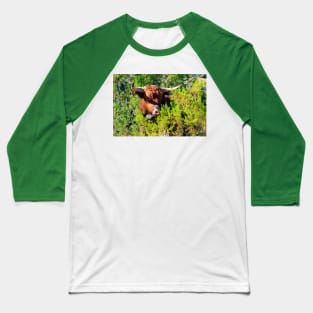 Peek-a-boo Steer Baseball T-Shirt